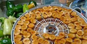 Kaip džiovinti abrikosus namuose