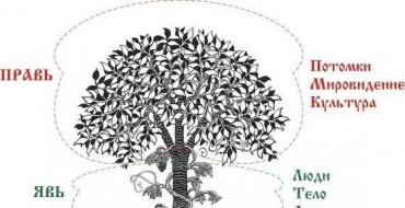 Енергоінформаційне очищення родового дерева Медитація для лікування карми всього роду