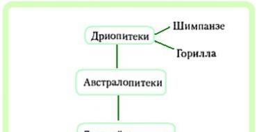 Тренировочные задания (1)